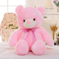 Light Up LED Teddy Bear