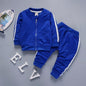 2Pcs Toddler Cotton Zipper Jacket Pants Tracksuits