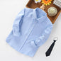 Toddler Boys White Long Sleeve Turn-down Collar Shirts